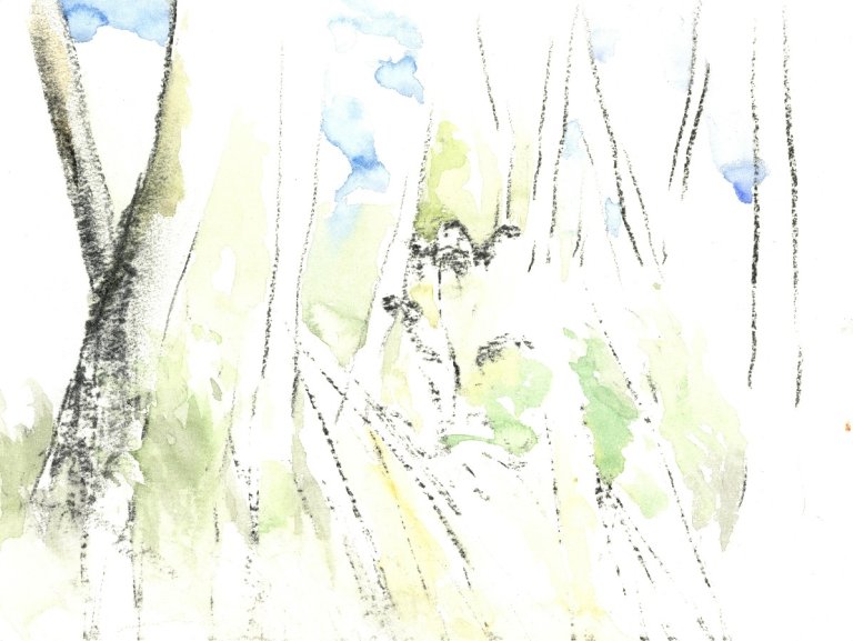 Studie am Kleinpritzer See